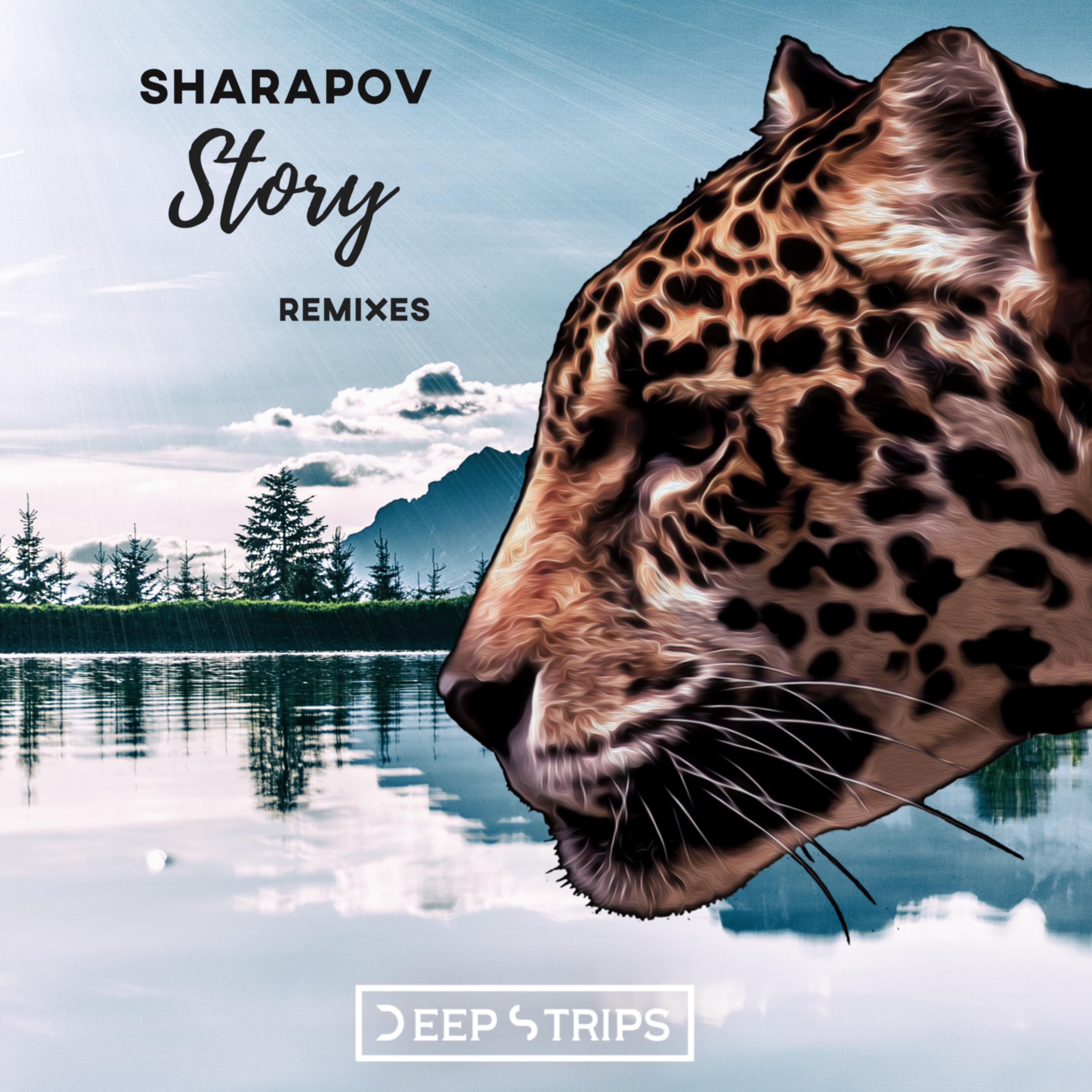 Story (VetLove, Mike Drozdov Remix)