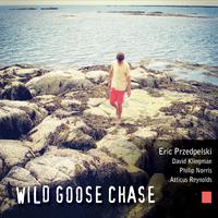Wild Goose Chase - Steel Pulse (unofficial Instrumental) 无和声伴奏