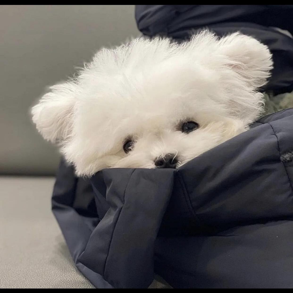 double take（翻自dhruv）