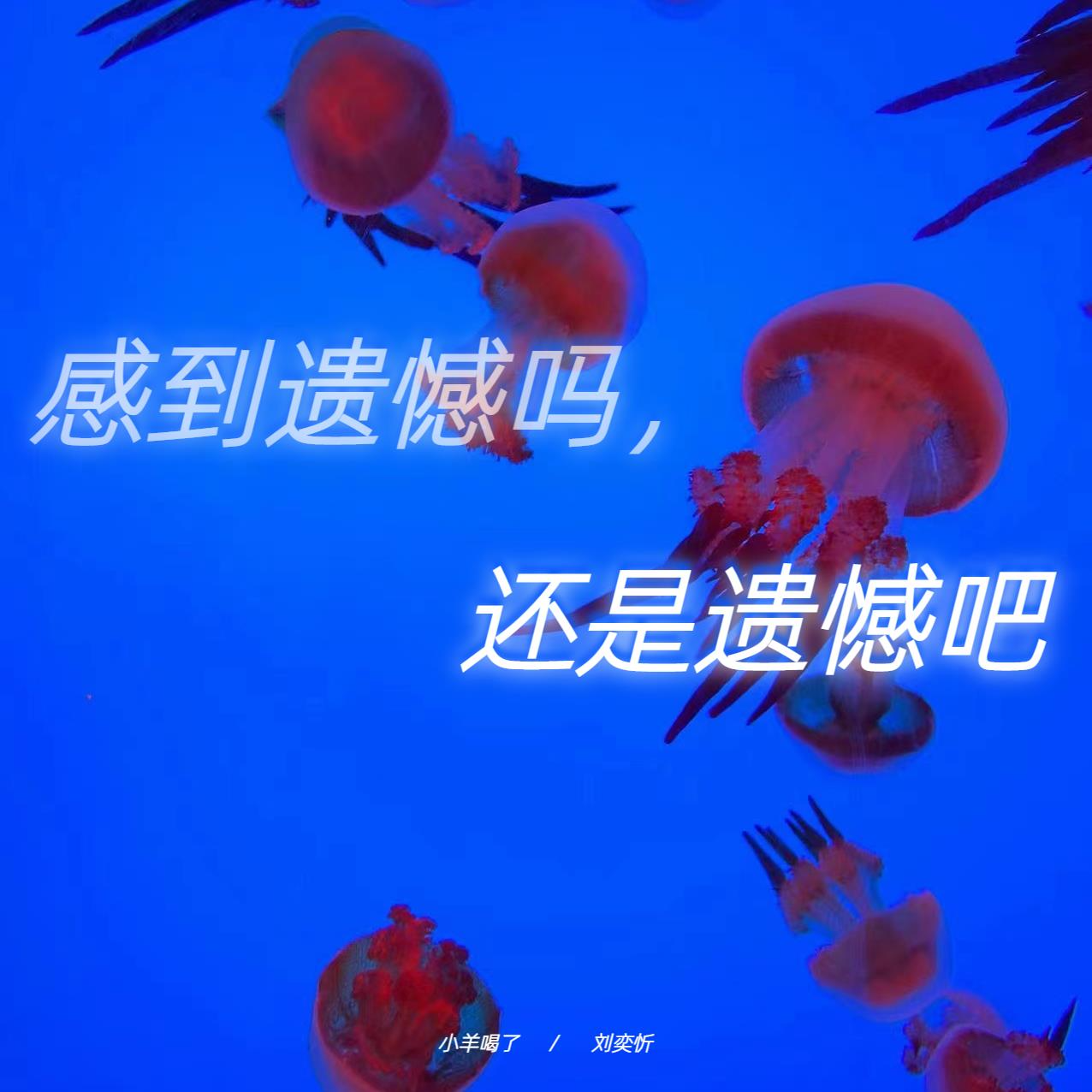 小羊喝了 - 感到遗憾吗 还是遗憾吧