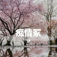 天龙八部(钟汉良版)—痴情冢(古筝版)