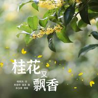 余玉婵-桂花又飘香