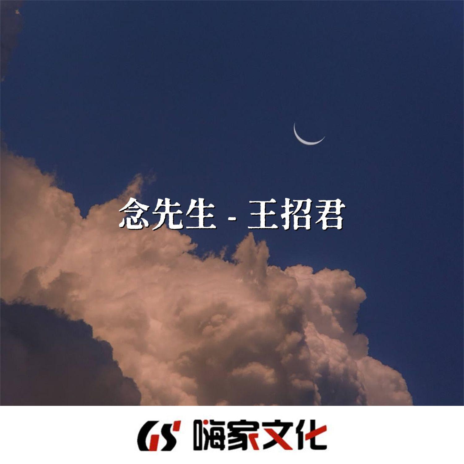王招君