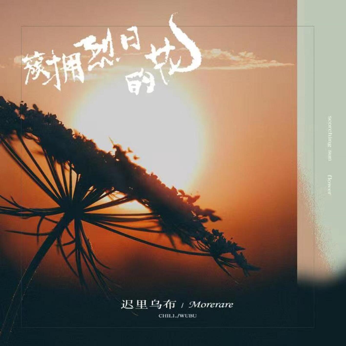 簇拥烈日的花 (DJ哭包版)