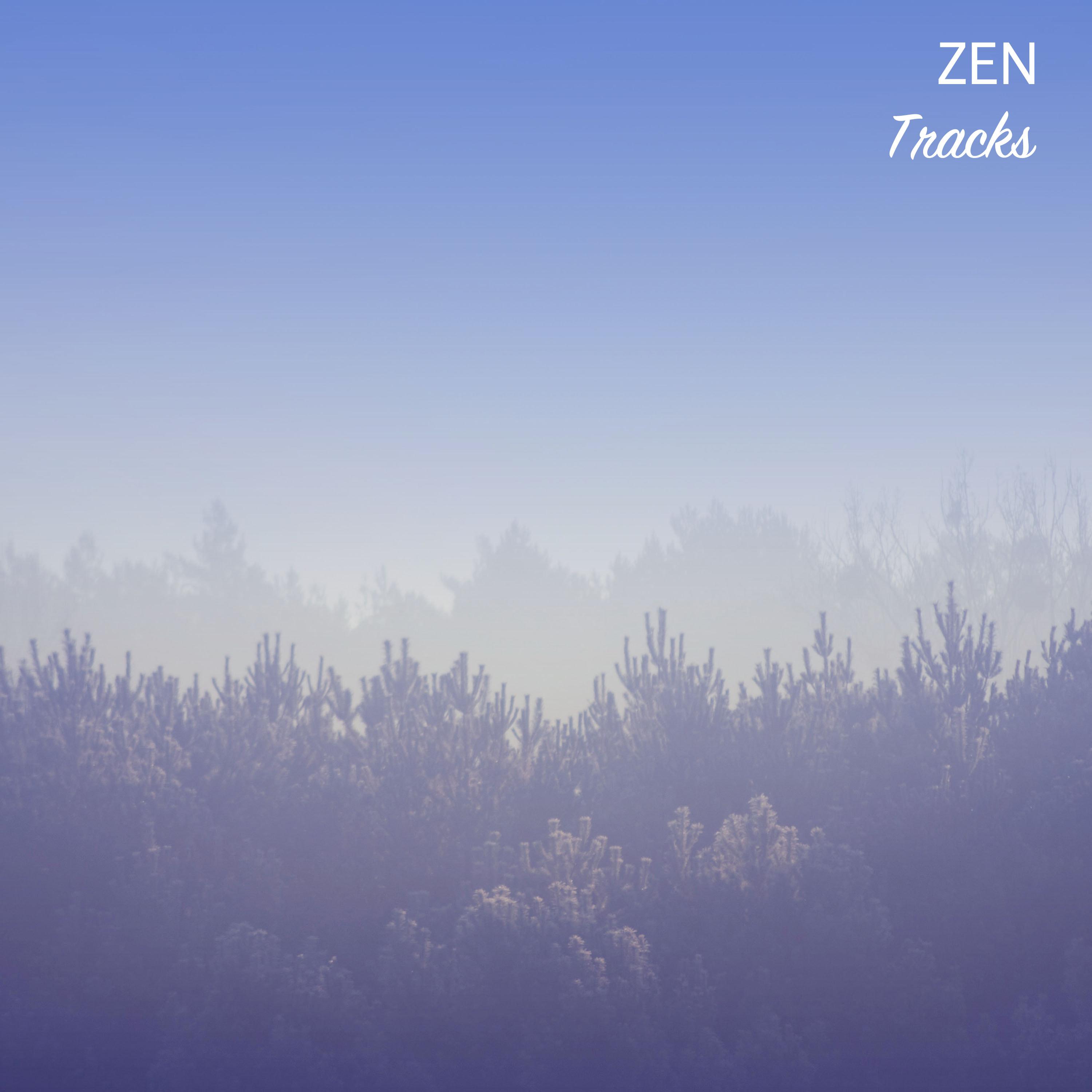 #11 Zen Tracks for Meditation and Sleep专辑