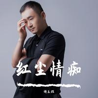 王琪 - 红尘情痴 （伴奏）