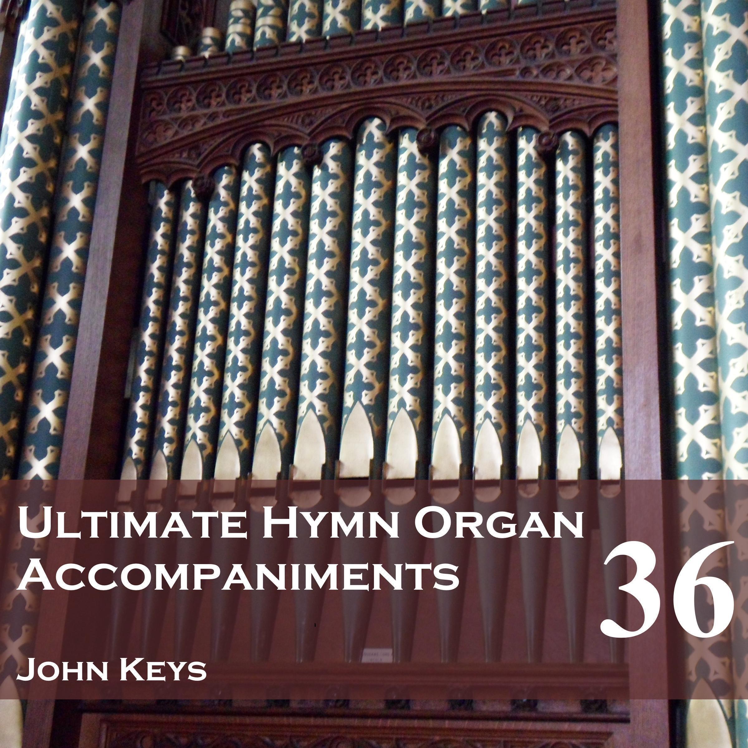 Ultimate Hymn Organ Accompaniments, Vol. 36