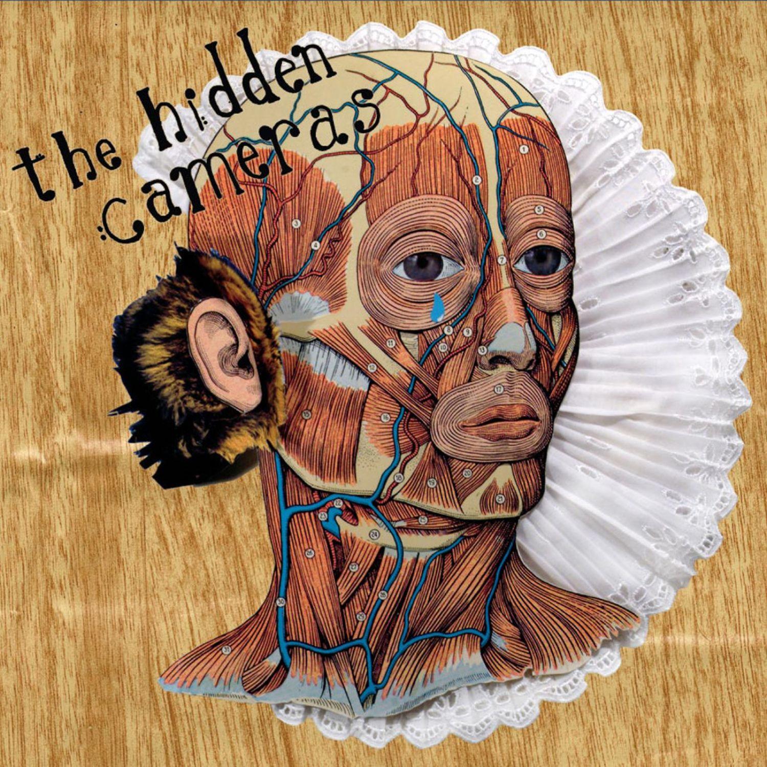 Learning the Lie 7"
