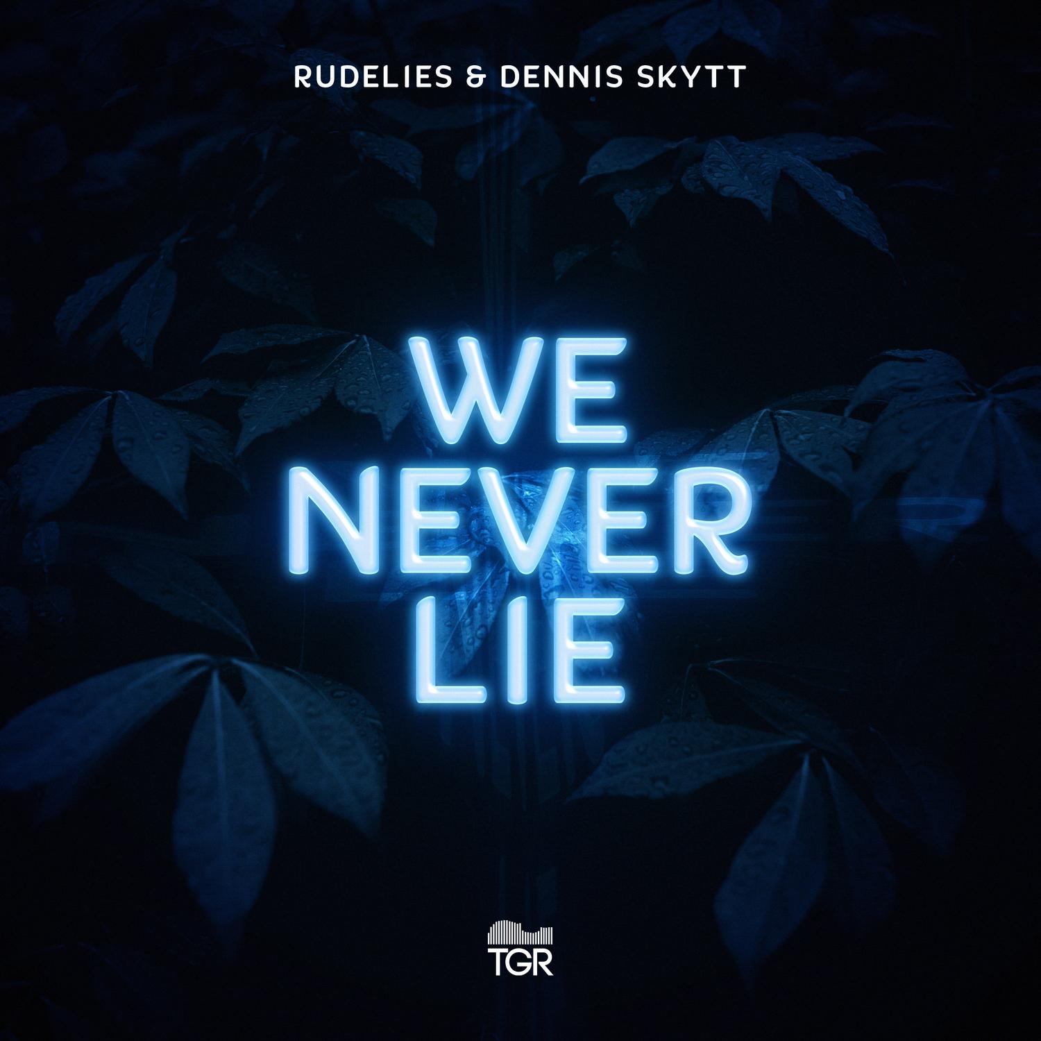 We Never Lie
