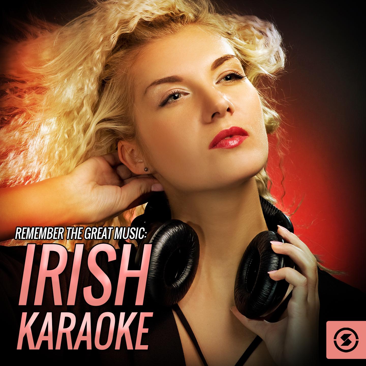 Remember the Great Music: Irish Karaoke专辑