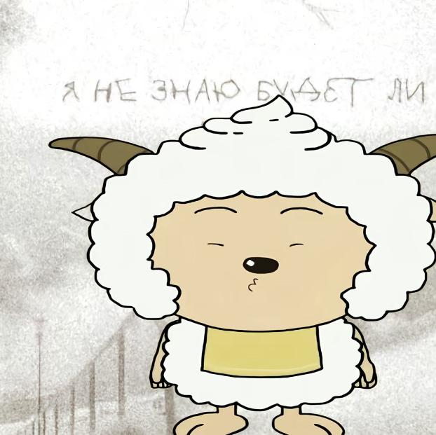 我也不太了解她