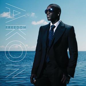 Akon - Freedom (消音版) 带和声伴奏