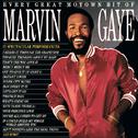 Every Great Motown Hit Of Marvin Gaye专辑