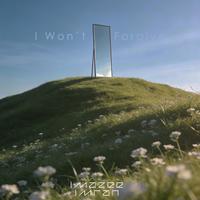 I Won't Forgive (feat. Imran)
