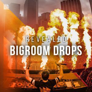 Revealed Bigroom Drops