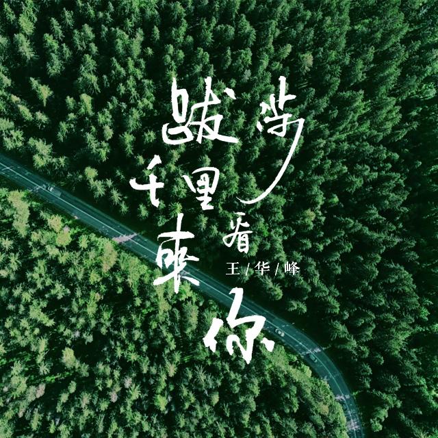 王华峰 - 破冬