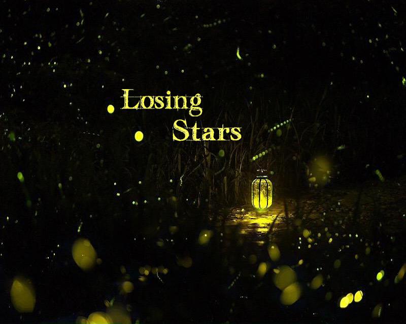 Losing Stars专辑