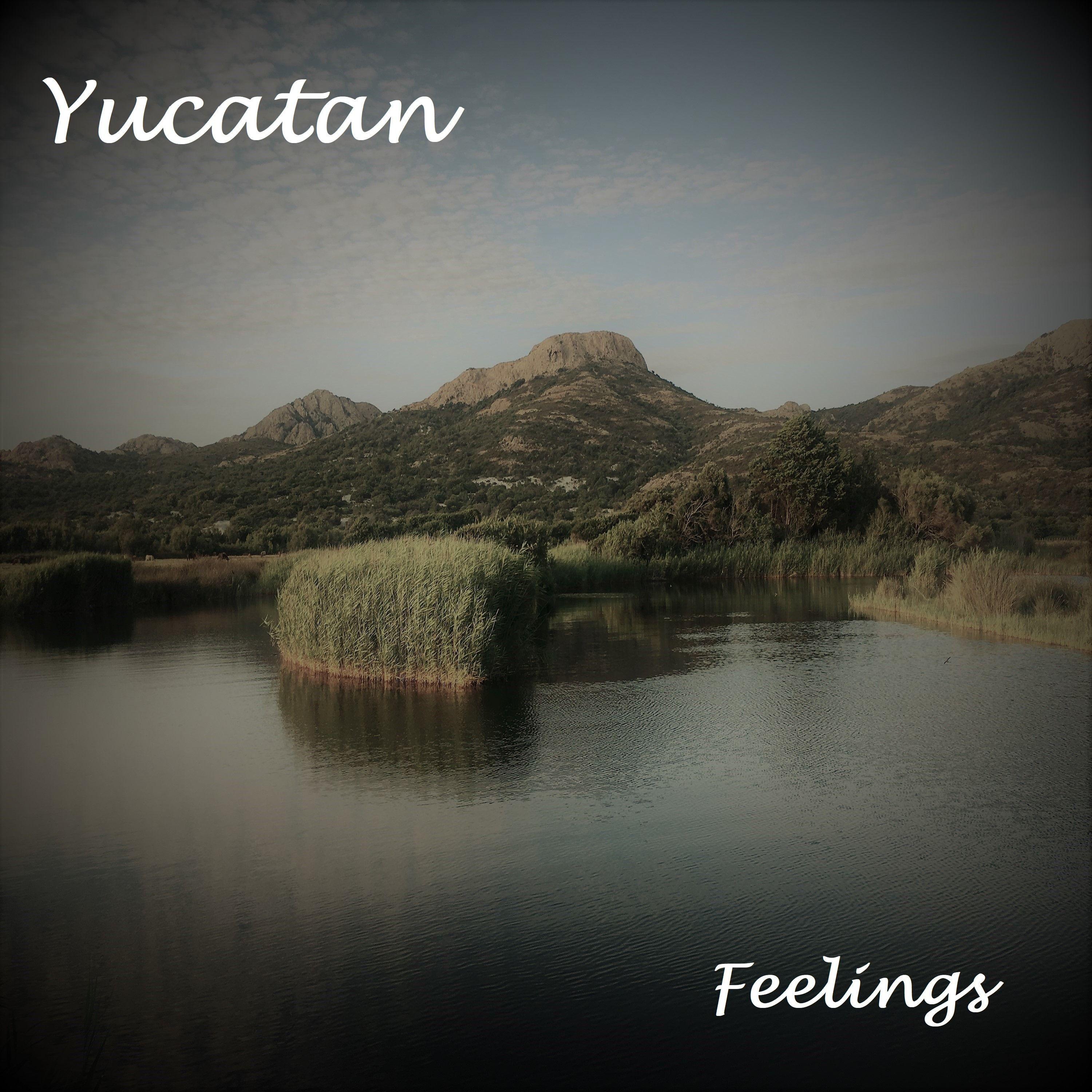 Feelings