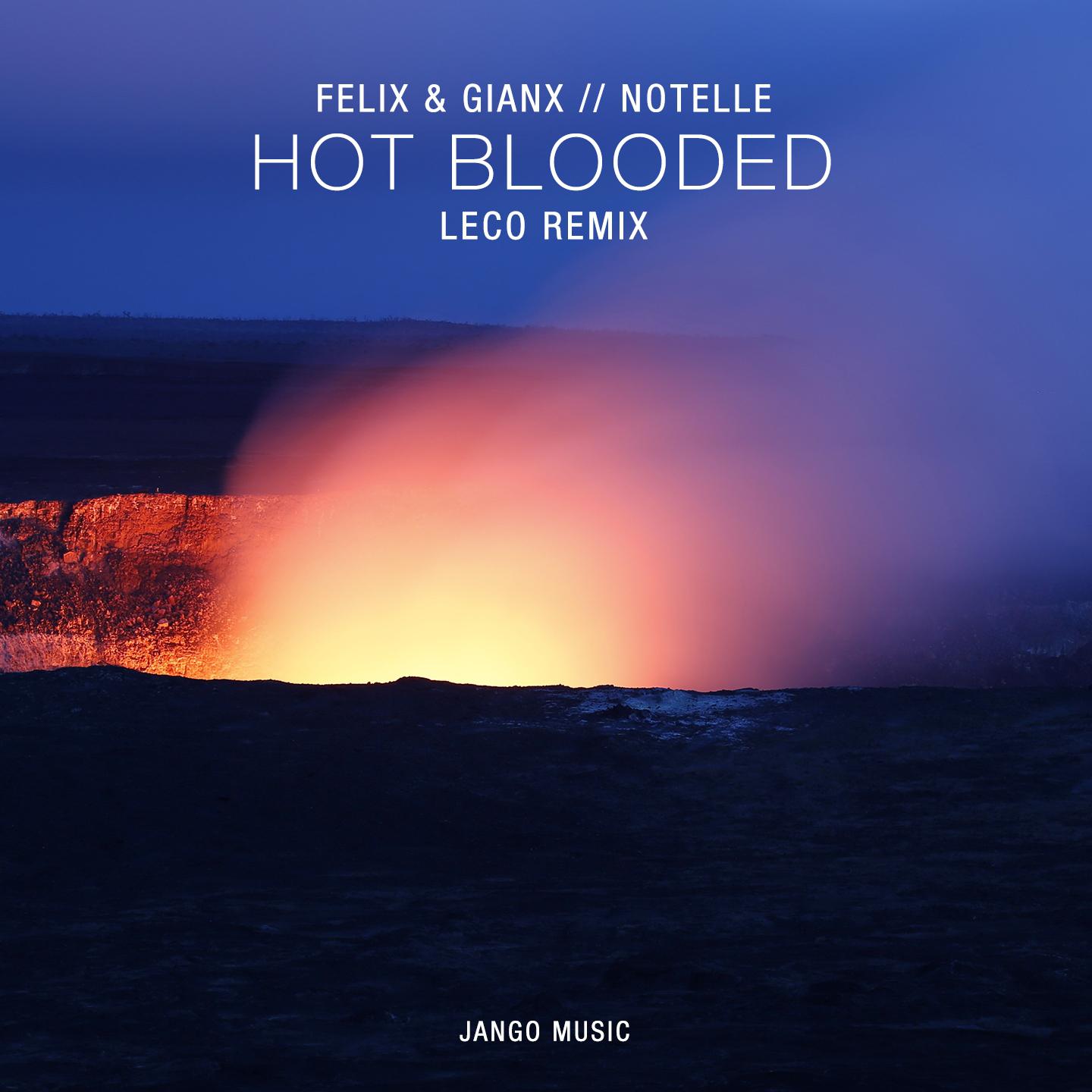 Hot Blooded (Leco Remix)专辑