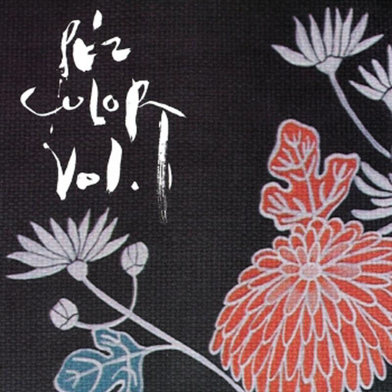 COLOR VOL.1专辑