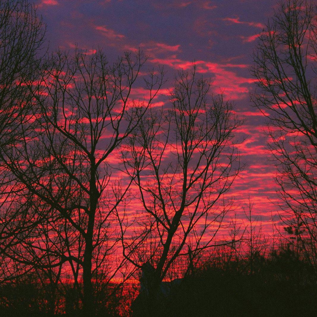 如果寂寞了(DJ版)