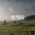 Anything