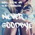 Never Goodbye