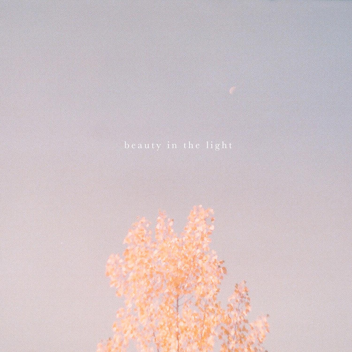 Beauty in the Light (Acoustic)