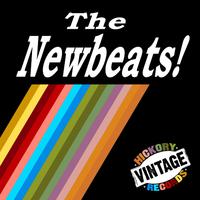 Run Baby Run - The Newbeats (karaoke)