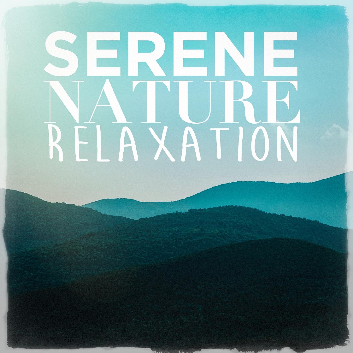 Serene Nature Relaxation专辑