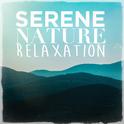 Serene Nature Relaxation专辑