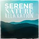 Serene Nature Relaxation专辑