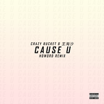 Cause U (HoworD Remix)专辑