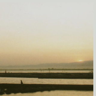 纯情小主播的BGM