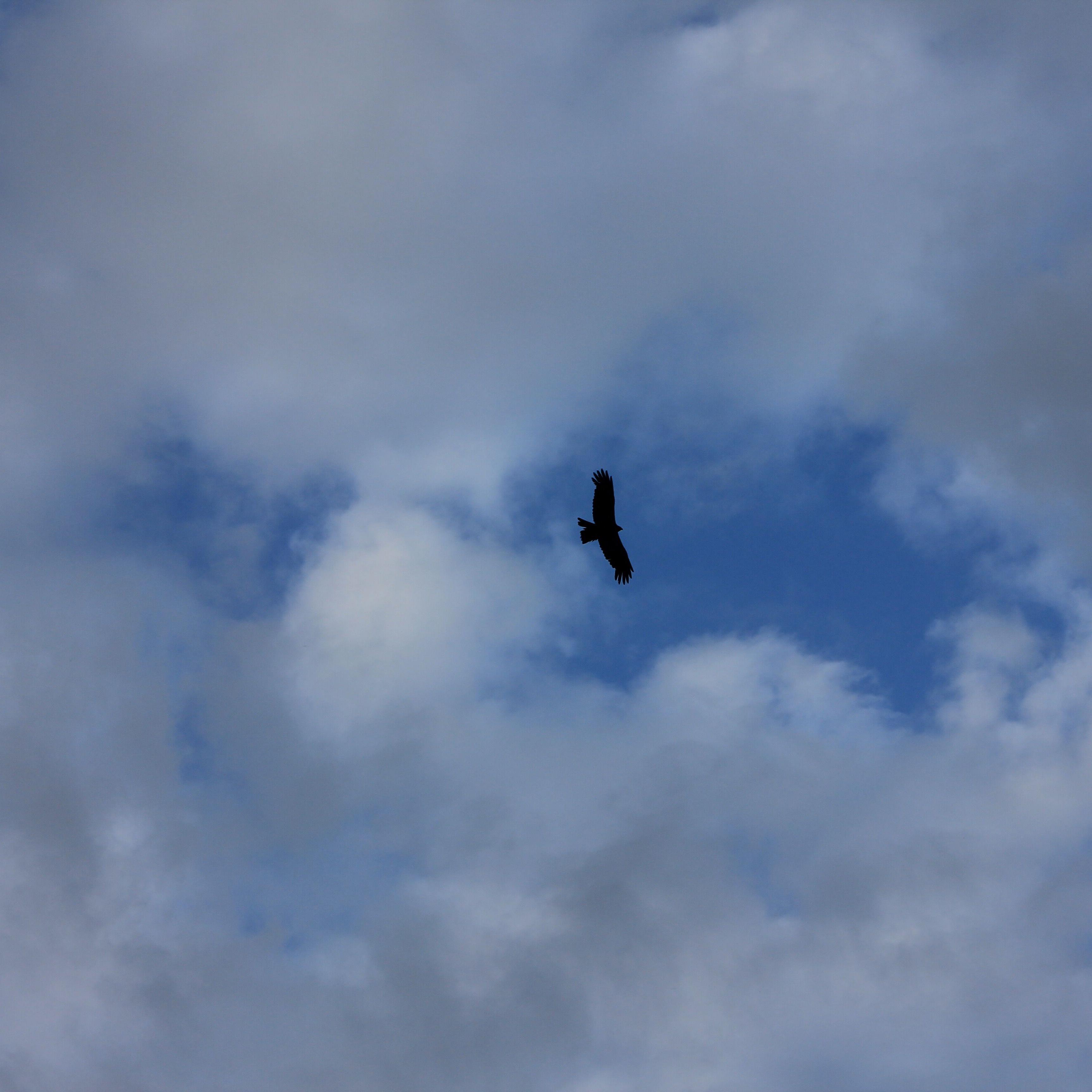奔向爱情的女孩