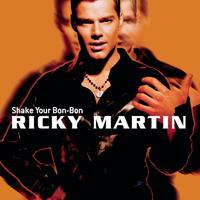 Shake Your Bon Bon - Ricky Martin (unofficial Instrumental)