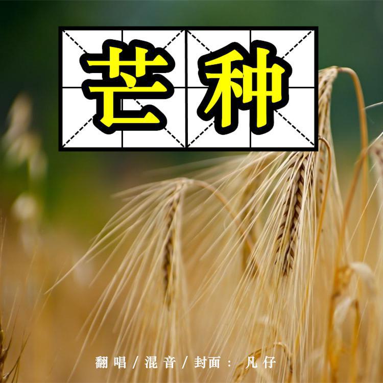 芒种