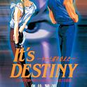 It's DESTINY -やっと巡り会えた-专辑