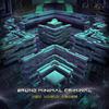 Disfunction - Magikal Mantra (Bruno Minimal Criminal Remix)