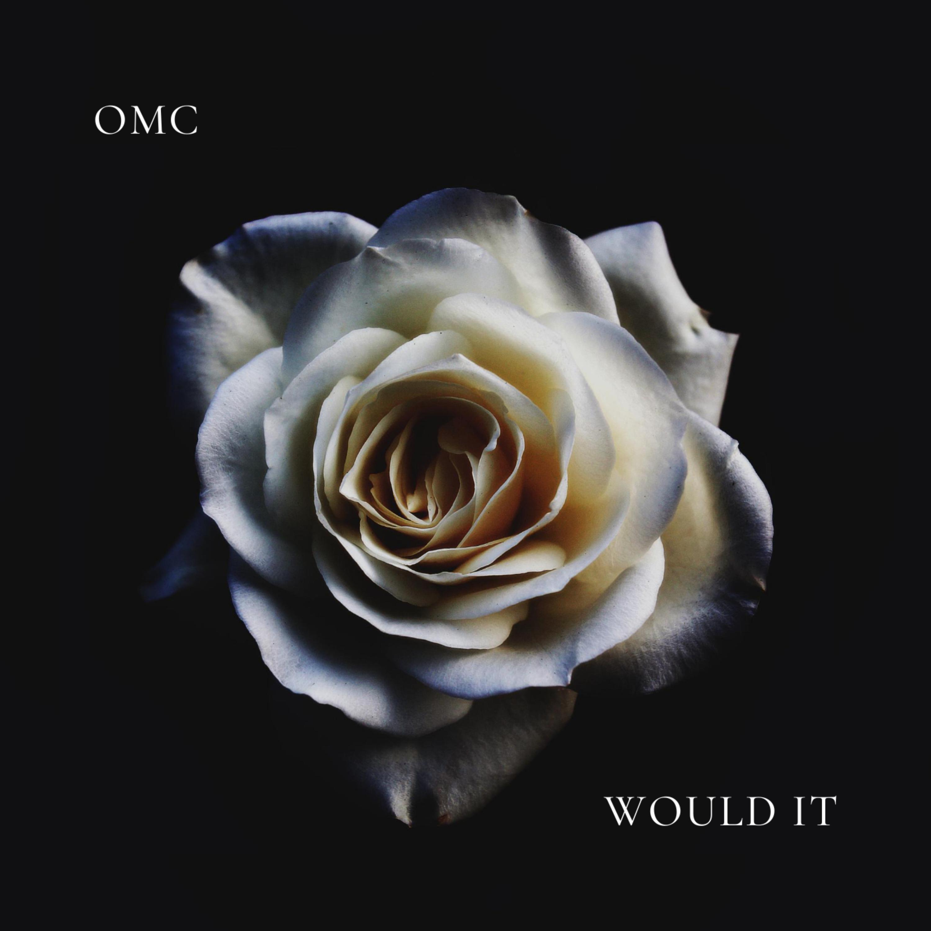 Would It