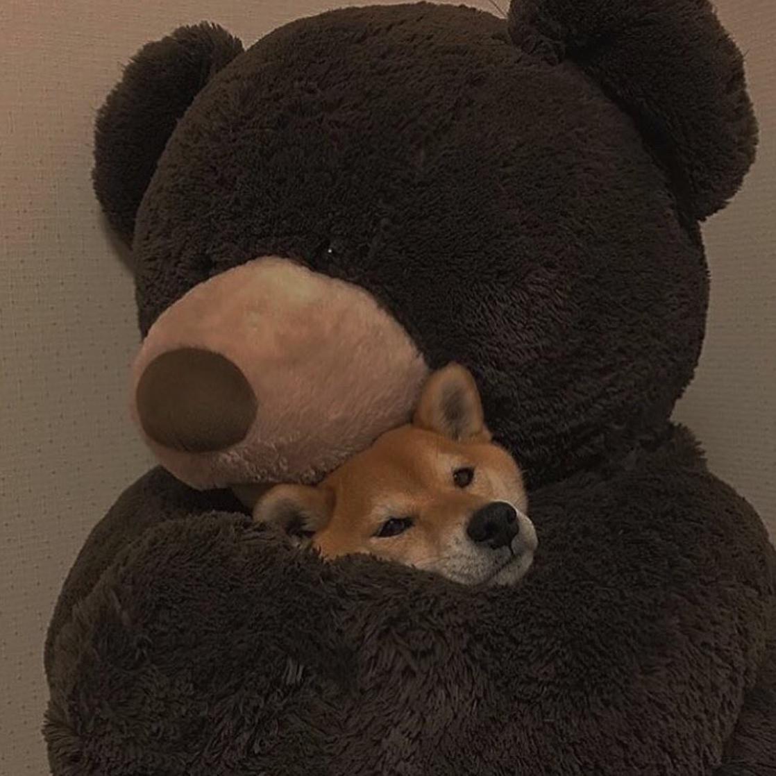 雾终将散去 人终会到来