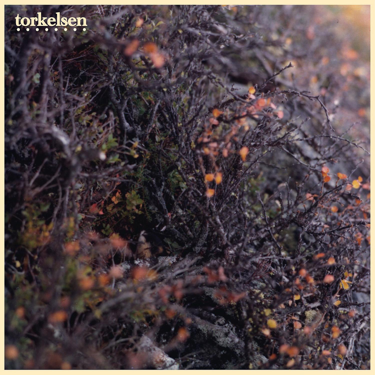 Torkelsen