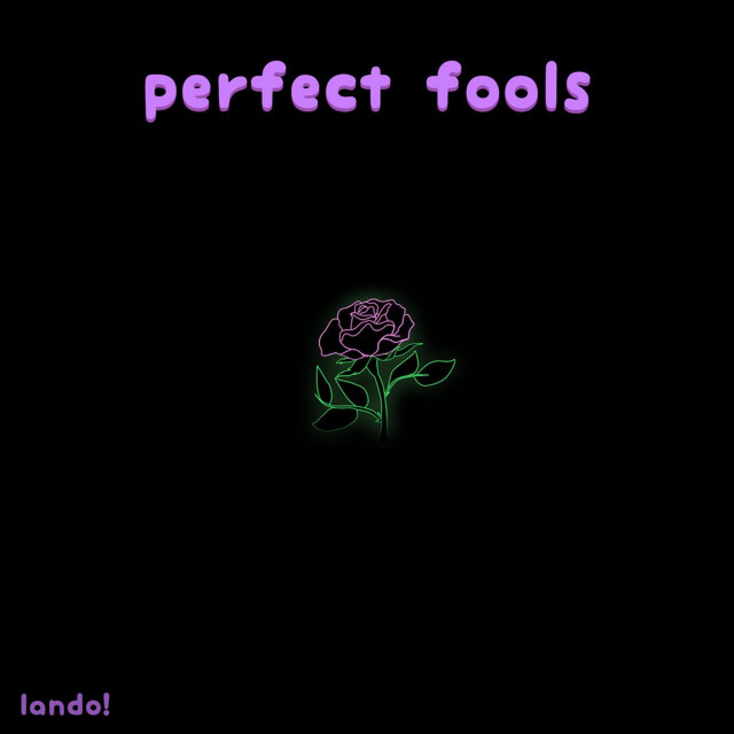 ~perfect fools~