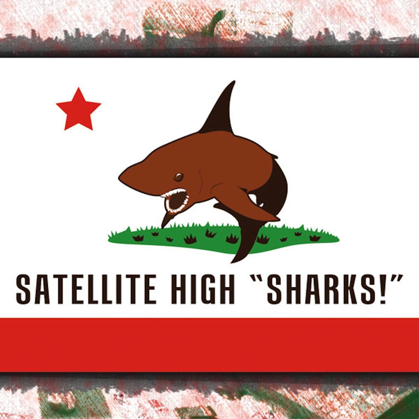 Sharks!