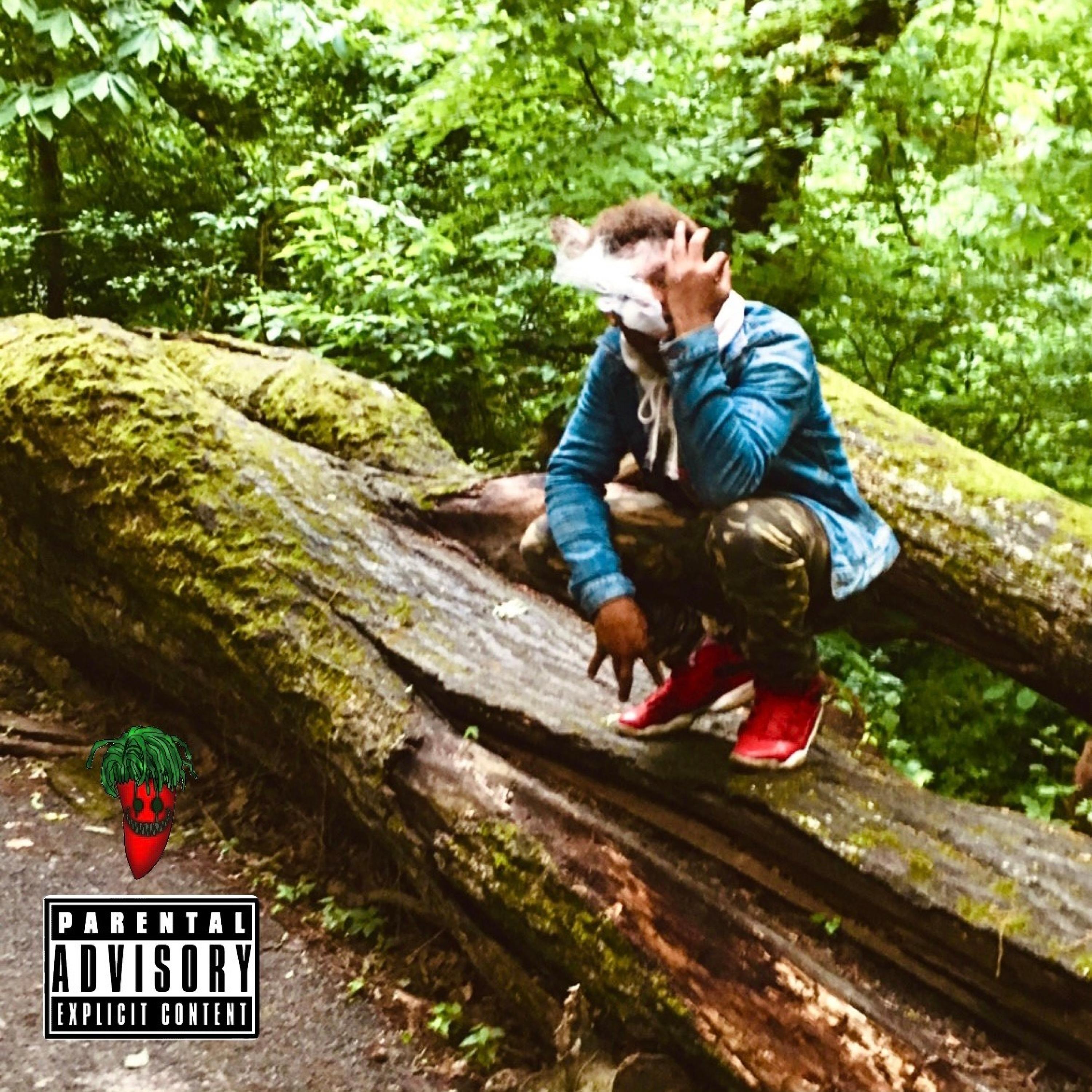 Earl Simmons (feat. Hitkidd)