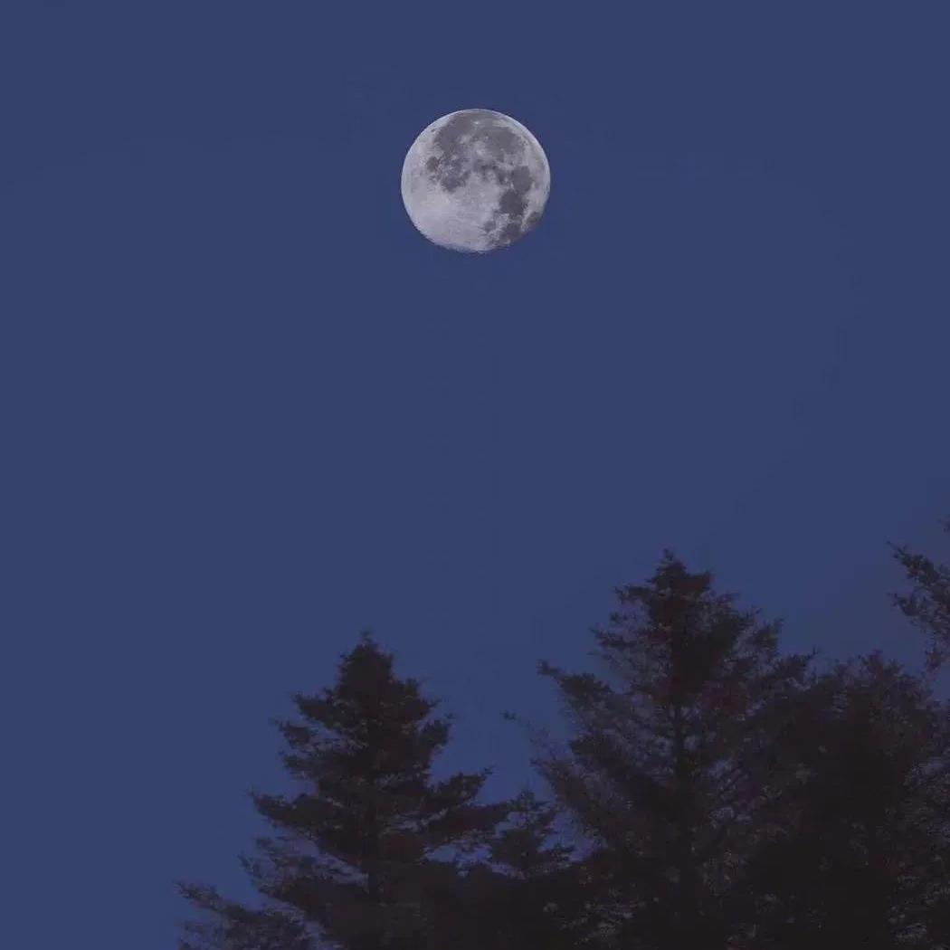 剑伤（女生版）（翻自 李易峰）