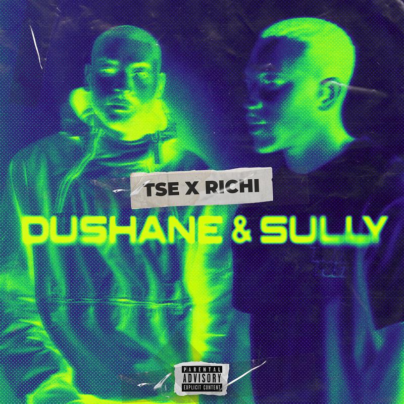 TSE - DUSHANE & SULLY