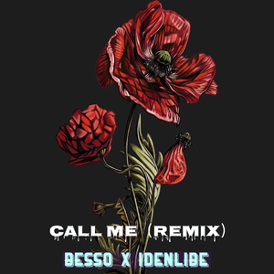 call me maybe-reidiculous伴奏 remix