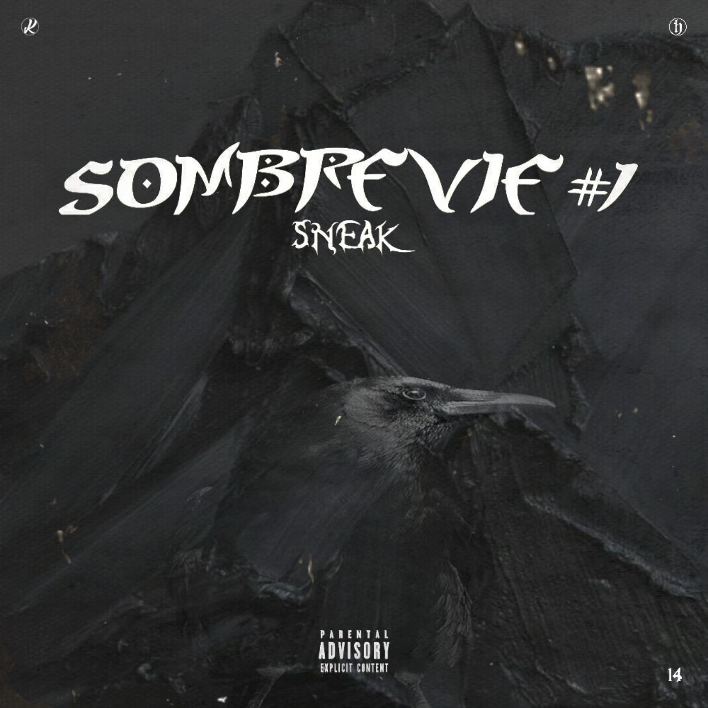 Sombre vie #1