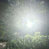 惹我没有下场